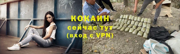 молекула духа Нязепетровск