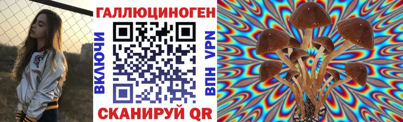 мега вход  Лабинск  Псилоцибиновые грибы прущие грибы 