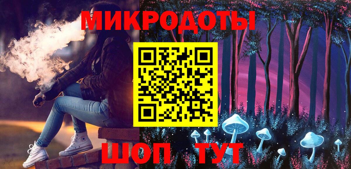 Галлюциногенные грибы Psilocybe Лабинск